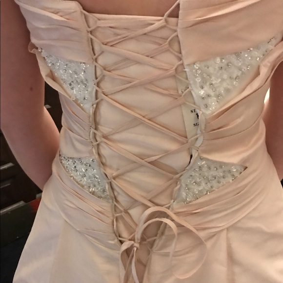 Blush and White Wedding/Prom Dress - Picture 5 of 5